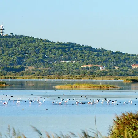 Les Indes Galantes By Interhome Lejlighed